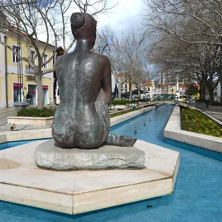 Dp Setubal